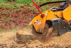 Taylor, AL Tree Removal Company